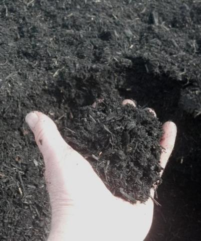 CalForest Biochar Compost
