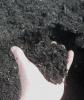 CalForest Biochar Compost